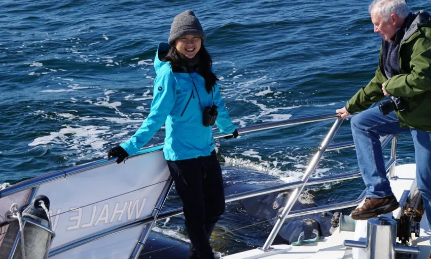 Augusta Whale Watching Tour, 2 Hours