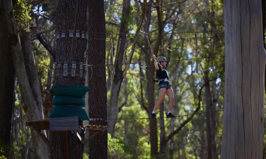 Busselton: Forest Adventures High Ropes Course