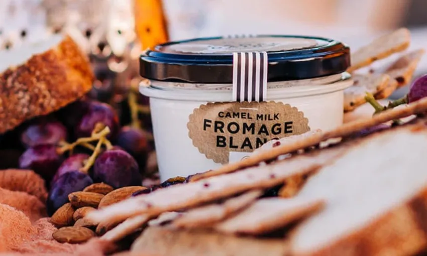 Harrisville Camel Farm Tour with Tasting - 1 Hour 