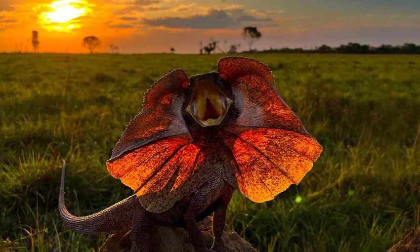 Overnight Outback Camp and Survival Training Tour with Andrew Ucles