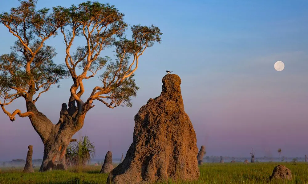 Outback Camp Overnight Tour