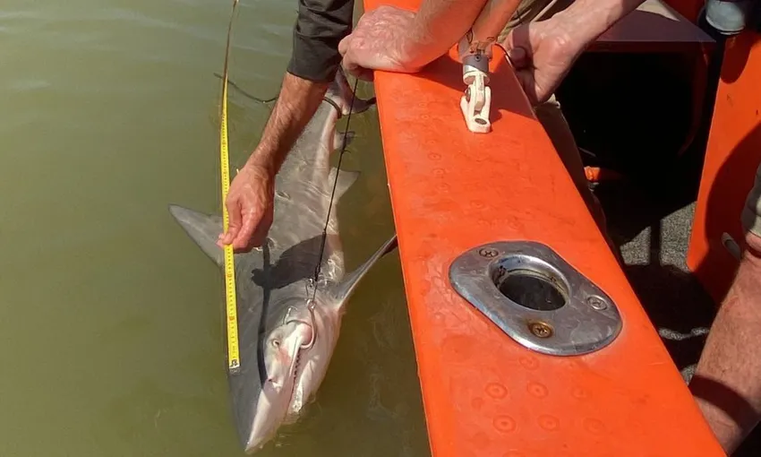 Darwin Fishing Charter Tour on Finess River