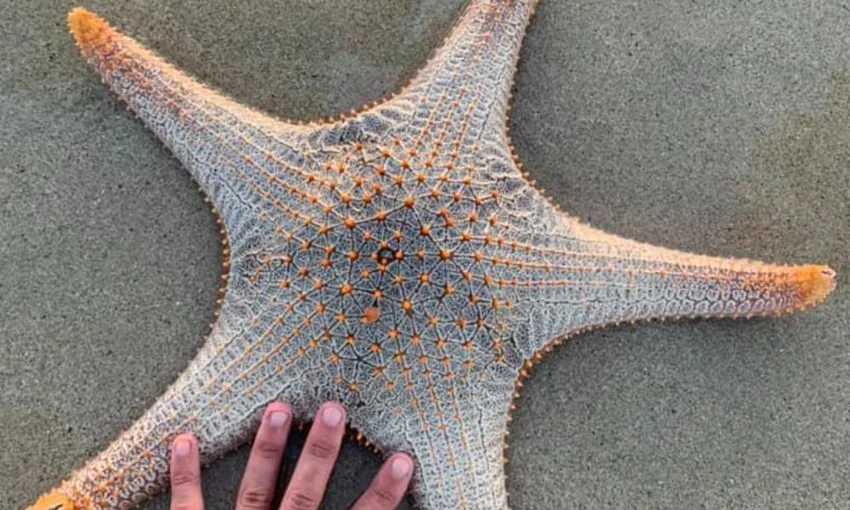 Darwin Fishing Charter Tour on Finess River