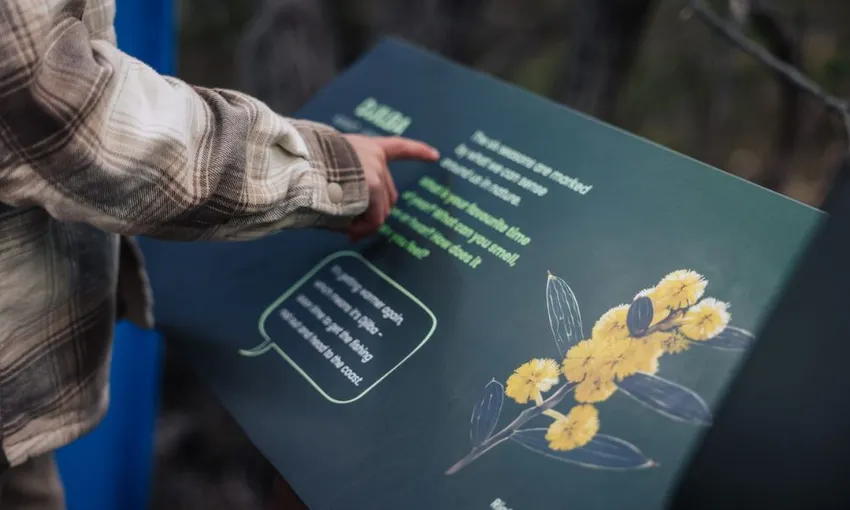 Ngilgi Cave Ancient Lands Experience & Cave Entry,  1 Hour 