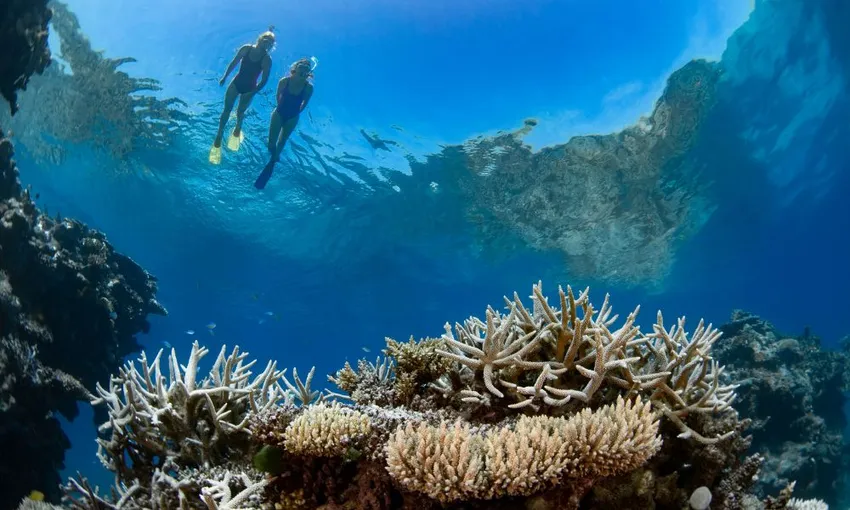 Outer Great Barrier Reef & Whitehaven Beach Viper Ocean Jet 