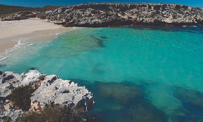 Rottnest Island Return Ferry Ticket from Fremantle