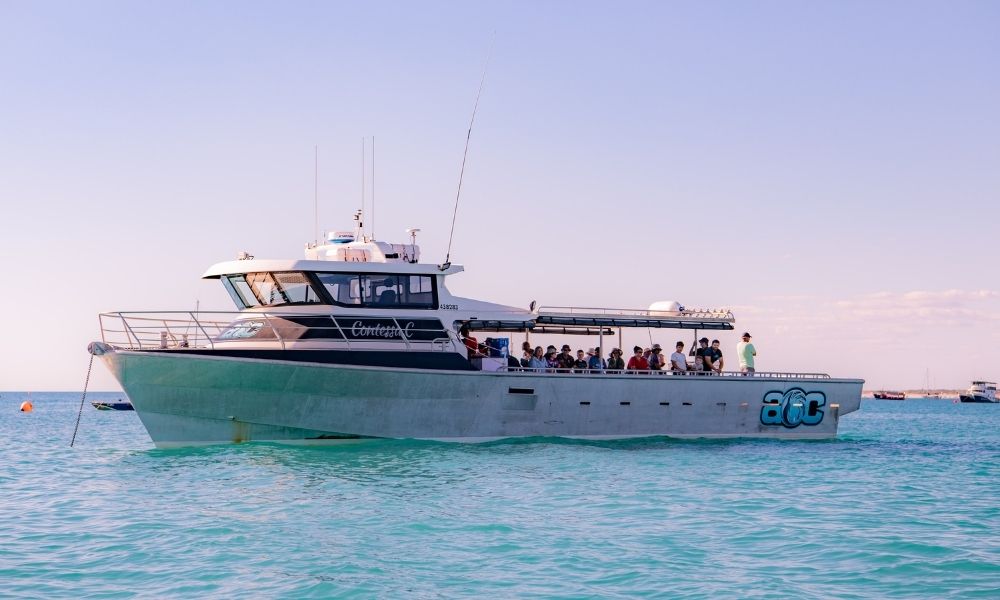 Reef Fishing Charter - Full Day 