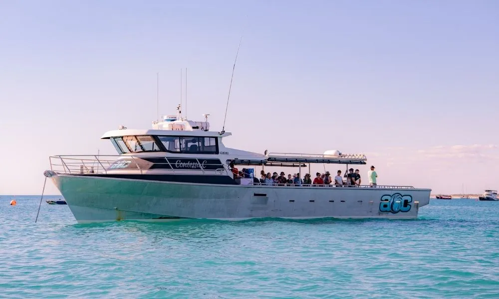 Reef Fishing Charters Full Day