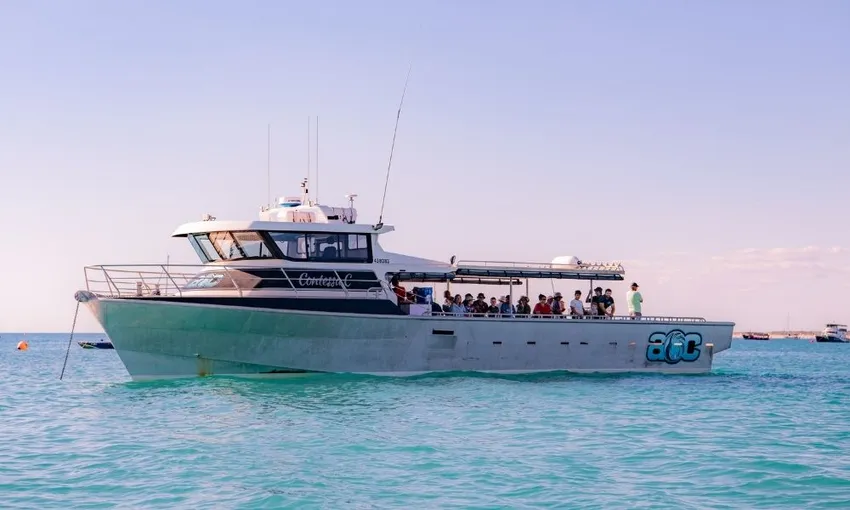 Reef Fishing Charter - Full Day 