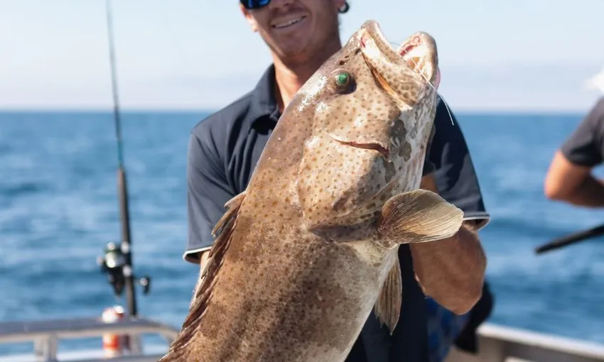 Reef Fishing Charter - Half Day