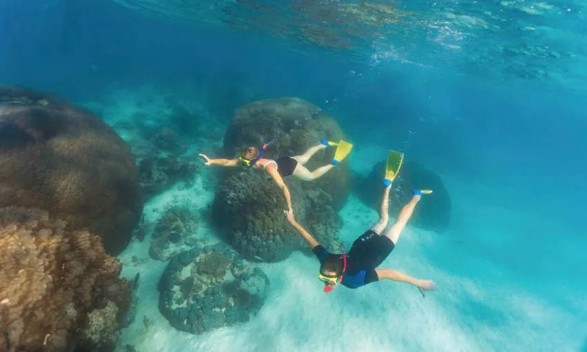 Ningaloo Reef Full Day Snorkel Adventure from Exmouth