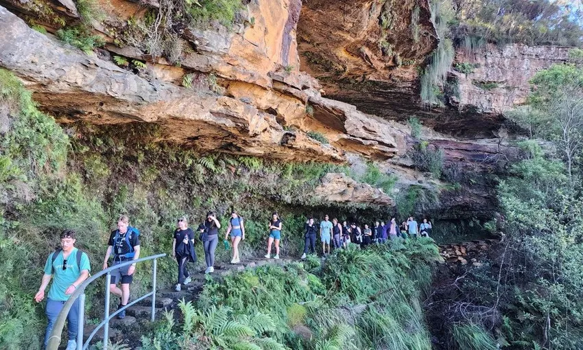 Blue Mountains Day Tour with Waterfall walk and social picnic lunch