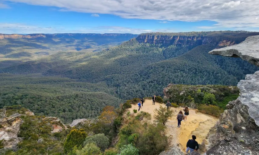 Blue Mountains Day Tour with Waterfall walk and social picnic lunch