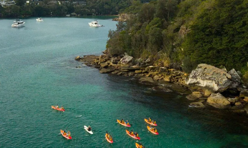 Guided Manly Kayak Tour to Reef Beach - 90 Minutes