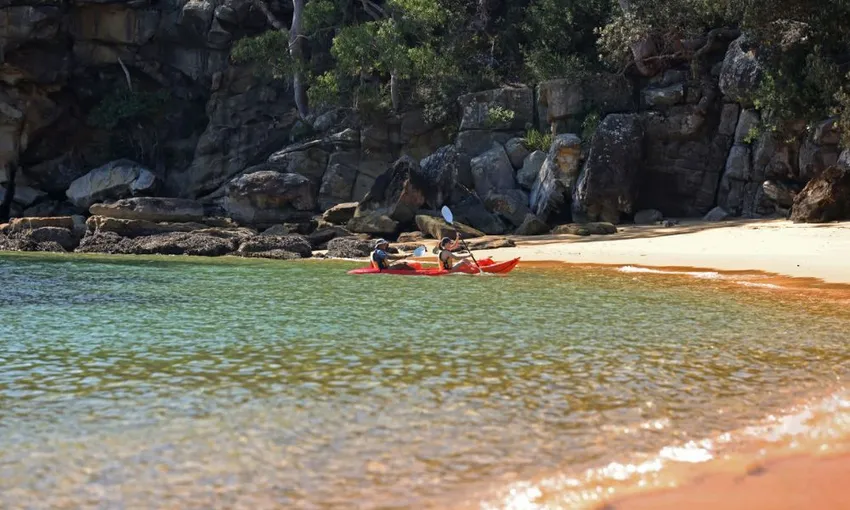 BYO Picnic in Paradise in Manly - 4 Hours - For 2