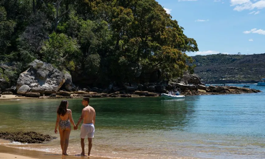 BYO Picnic in Paradise in Manly - 4 Hours - For 2