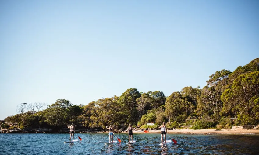 Group Stand Up Paddle Boarding Lesson in Manly