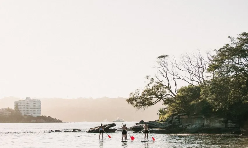 Group Stand Up Paddle Boarding Lesson in Manly