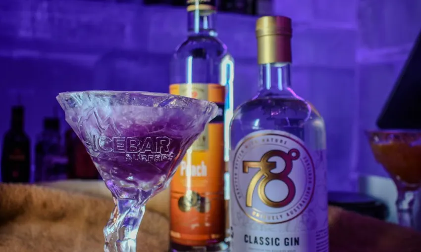 Deluxe IceBar Entry and Cocktail