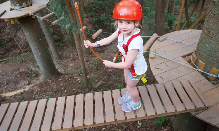 Majura Pines Tree Ropes Course - 2.5 Hours