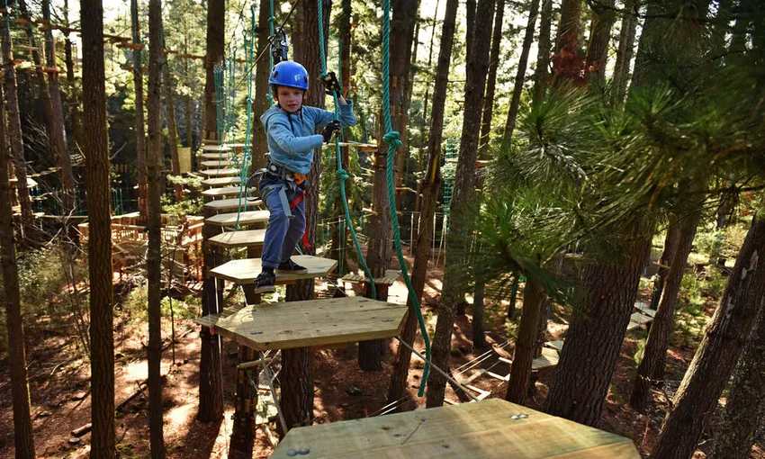 Majura Pines Tree Ropes Course - 2.5 Hours