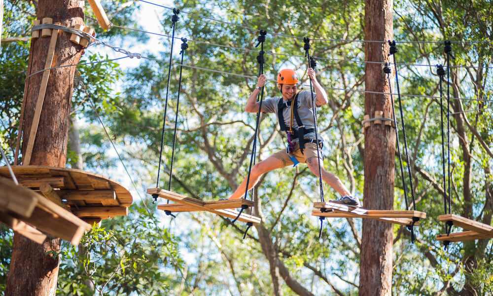 Majura Pines Tree Ropes Course - 2.5 Hours