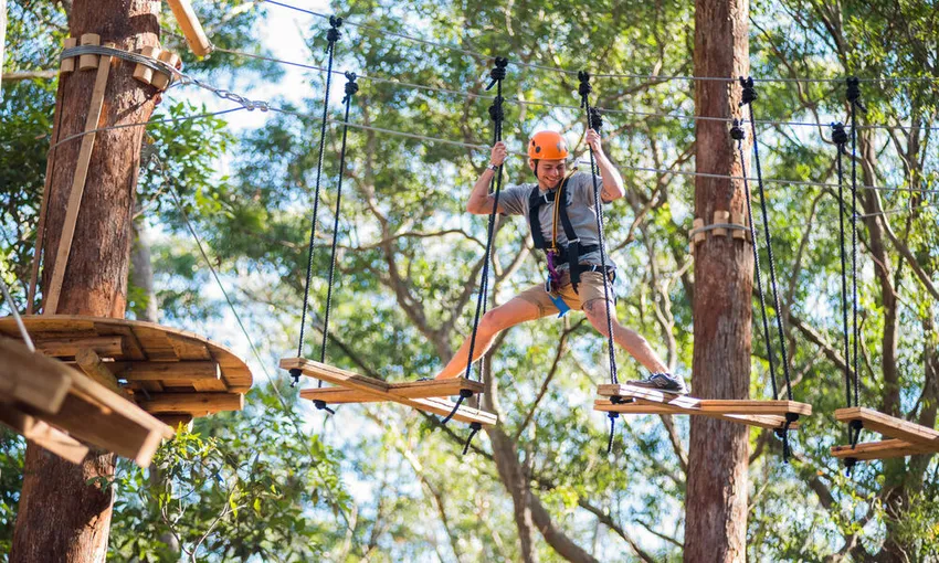 Majura Pines Tree Ropes Course - 2.5 Hours