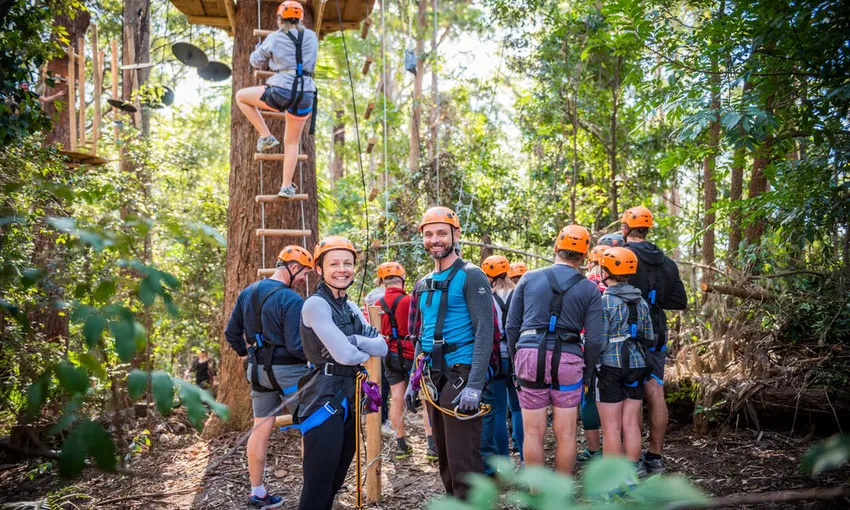 Majura Pines Tree Ropes Course - 2.5 Hours
