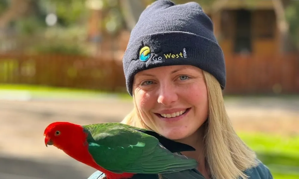 Great Ocean Road Day Tour with Melbourne Transfers | Experience Oz-5