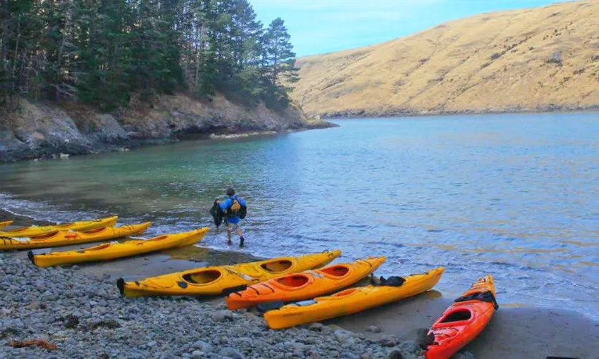 Pōhatu Sea Kayaking and Scenic 4WD Safari