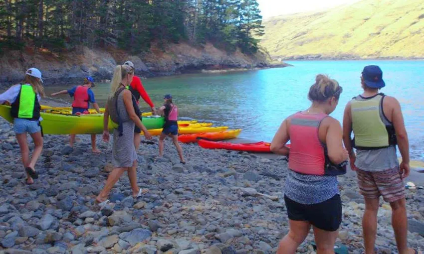 Pōhatu Sea Kayaking and Scenic 4WD Safari