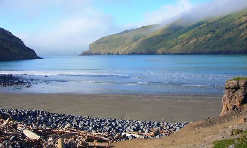 Pōhatu Sea Kayaking and Scenic 4WD Safari