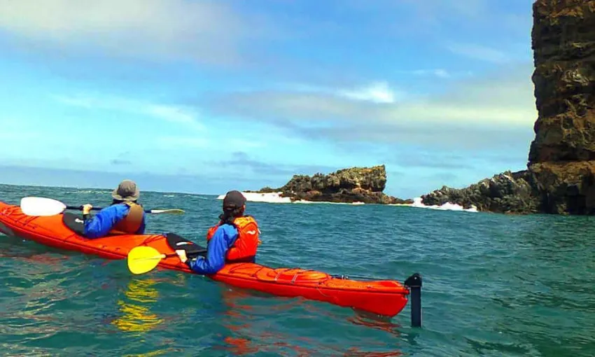 Pōhatu Sea Kayaking and Scenic 4WD Safari