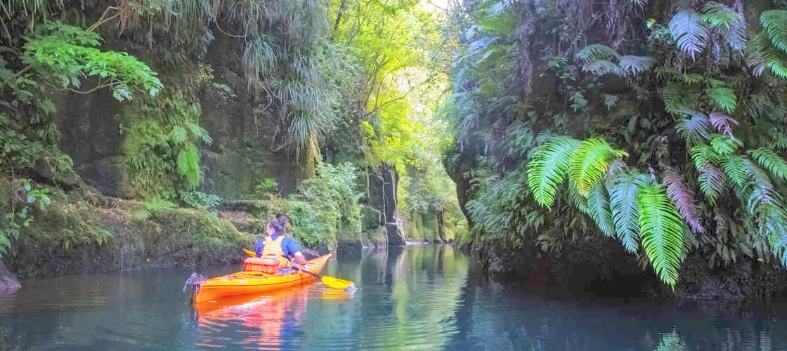 Tauranga Daytime Scenic Lake McLaren Kayak Tour | Experience Oz-1