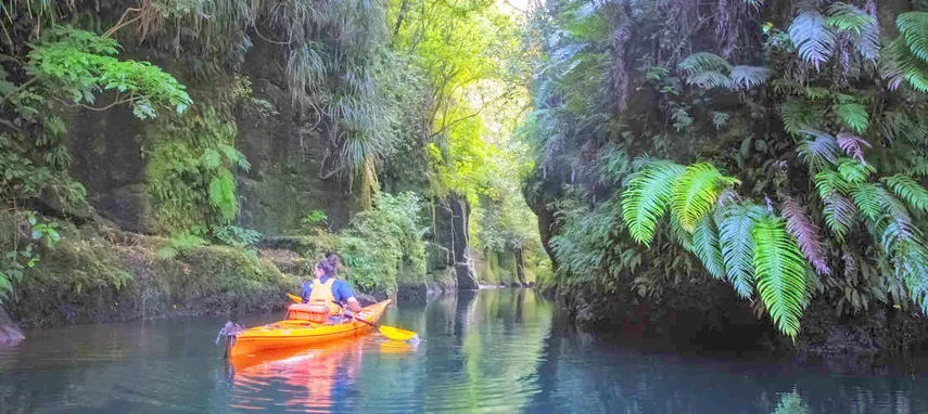 Tauranga Daytime Scenic Lake McLaren Kayak Tour | Experience Oz