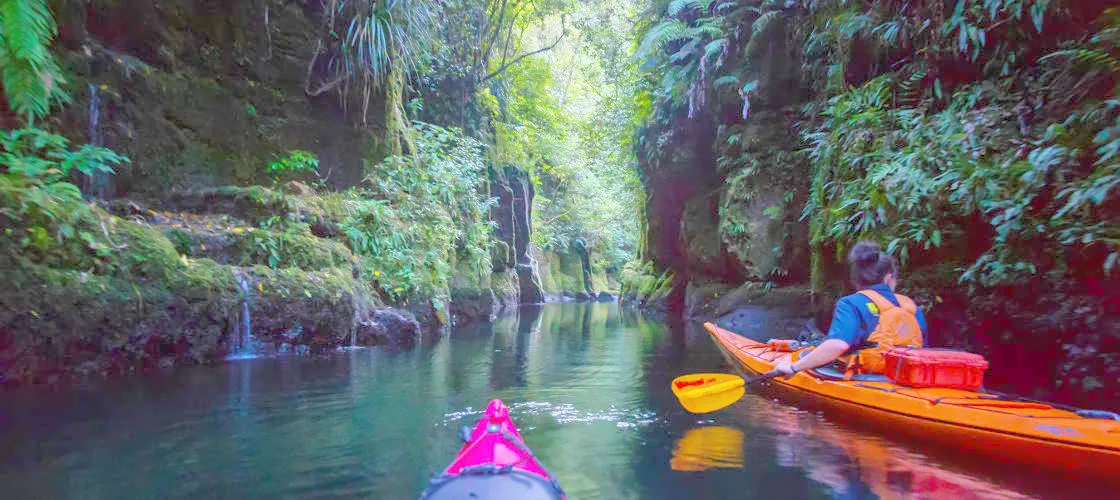 Tauranga Daytime Scenic Lake McLaren Kayak Tour | Experience Oz-2