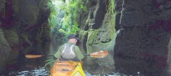 Tauranga Daytime Scenic Lake McLaren Kayak Tour