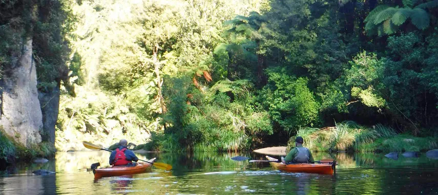 Tauranga Daytime Scenic Lake McLaren Kayak Tour | Experience Oz
