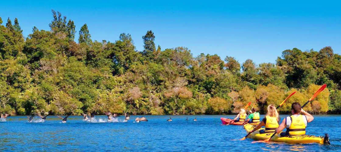 Tauranga Daytime Scenic Lake McLaren Kayak Tour | Experience Oz-6