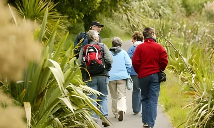 Wellington Zealandia 2-Hour Guided Tour - Book Now | Experience Oz + NZ