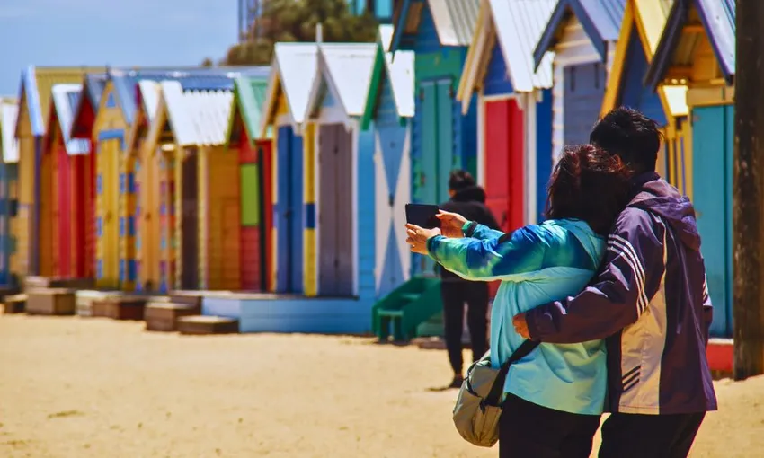 Phillip Island Penguins Tour - Book Now | Experience Oz