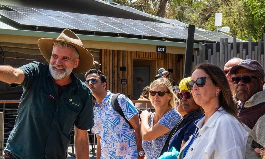 Phillip Island Penguins Tour - Book Now | Experience Oz