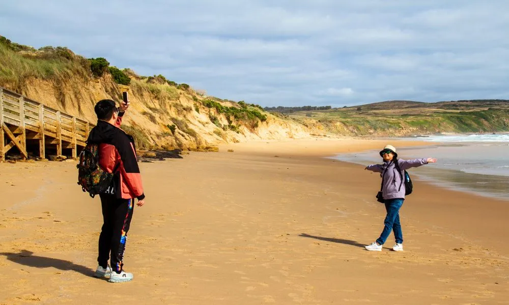 Phillip Island Penguins Tour - Book Now | Experience Oz-11