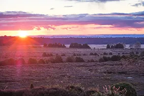 Tongariro Alpine Crossing Guided Sunset Walk - Book | Experience Oz + NZ-6