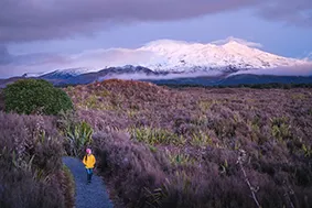 Tongariro Alpine Crossing Guided Sunset Walk - Book | Experience Oz + NZ-7