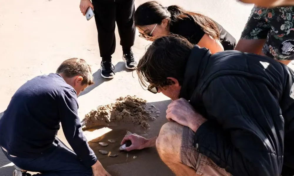 Port Stephens Sandboarding Tour - Book Now | Experience Oz-4