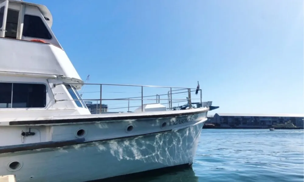 Jazz Lunch Cruise on Sydney Harbour - Book Now | Experience Oz-4