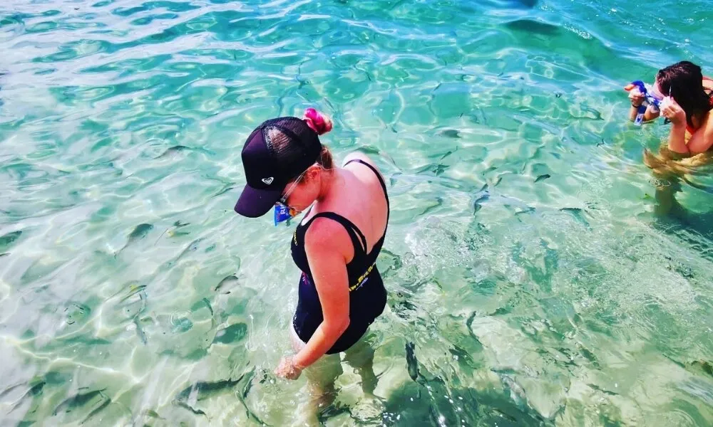 Gold Coast Morning Dolphin Kayaking and Snorkeling Tour | Experience Oz-2
