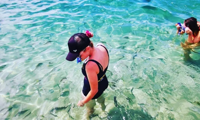 Gold Coast Morning Dolphin Kayaking and Snorkeling Tour | Experience Oz
