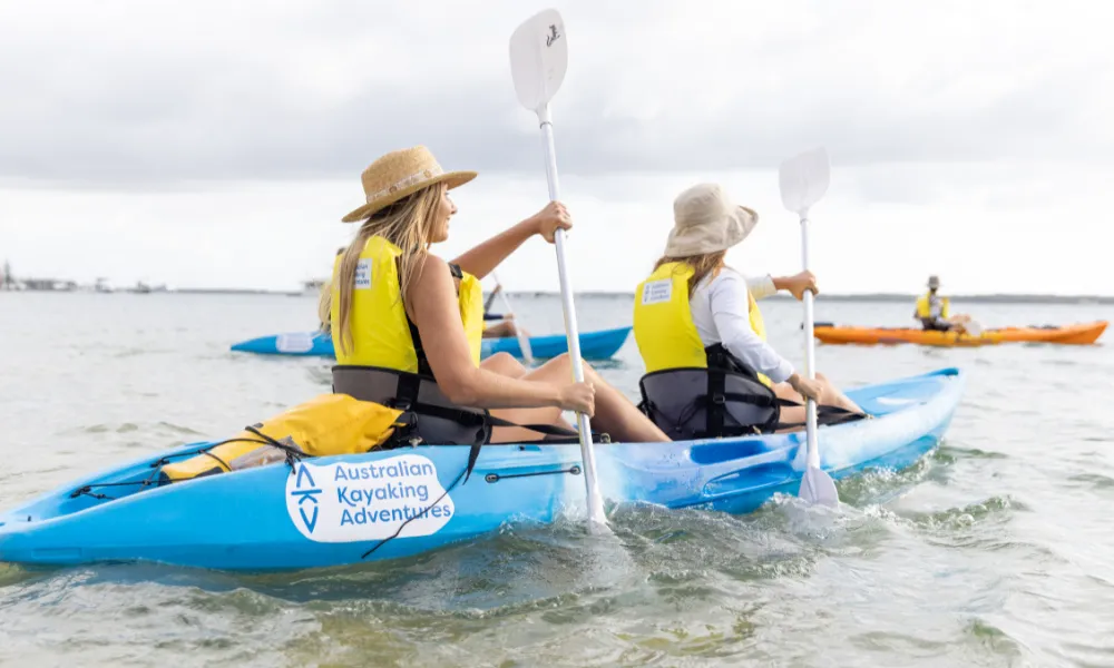 Gold Coast Morning Dolphin Kayaking and Snorkeling Tour | Experience Oz-4